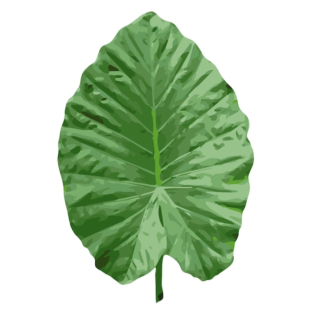 Vector de diseño de hoja. Hoja tropical sin costuras. Vector.