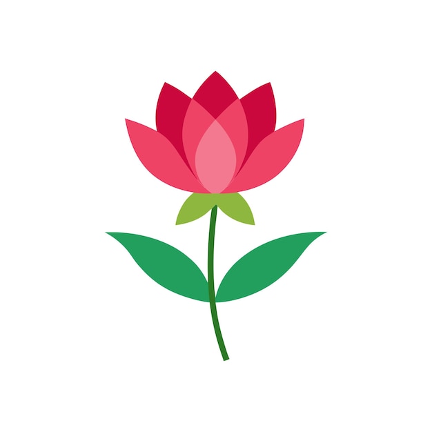 Vector de flores imagen de alta calidad colorida