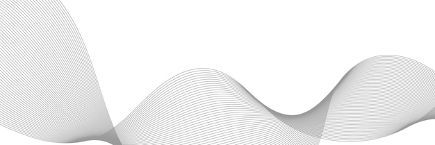 Vector de fondo abstracto gris con ondas dinámicas para el diseño de negocios