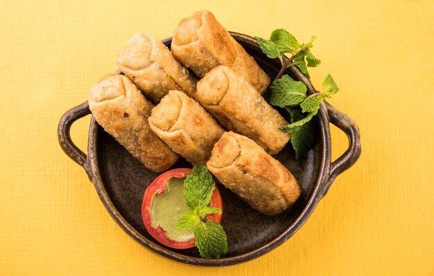 Veg Spring Rolls com folha de hortelã e chutney verde ou Ketchup de tomate. Foco seletivo