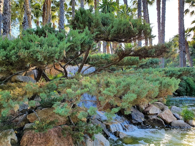 Vega Baja del Segura Albatera Parque de la Huerta