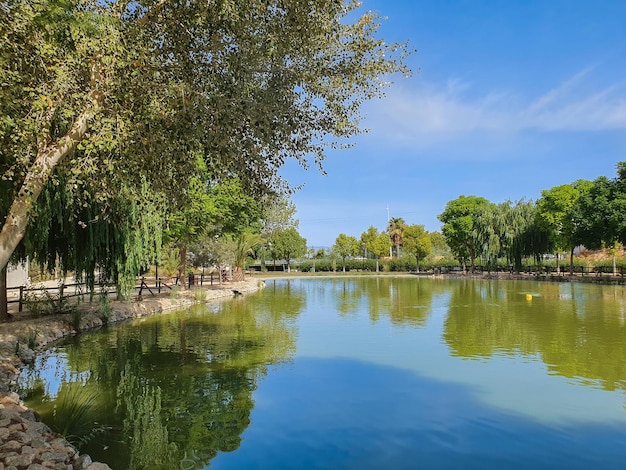 Vega Baja del Segura -Benijofar - Distintos lugares de este municipio de Alicante