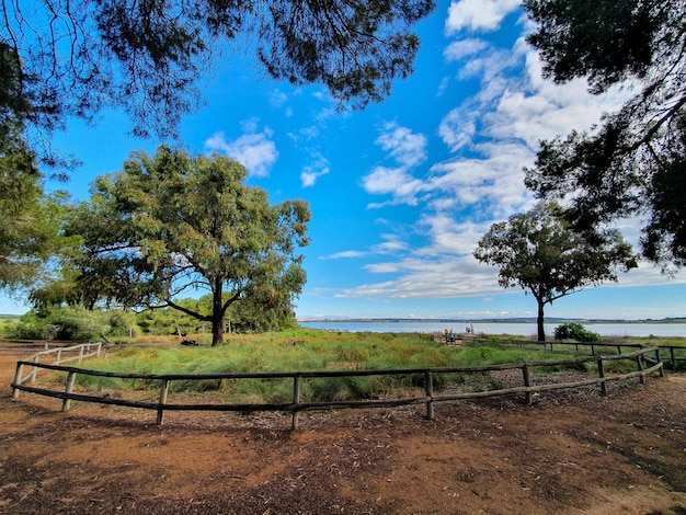 Vega Baja del Segura El lago azul del Parque Natural de las Lagunas de La Mata y Torrevieja