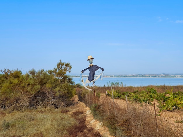 Vega Baja del Segura El lago azul del Parque Natural de las Lagunas de La Mata y Torrevieja