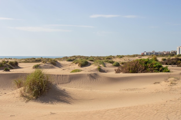 Vega Baja del Segura Guardamar del Segura Paisaje de dunas junto al mar