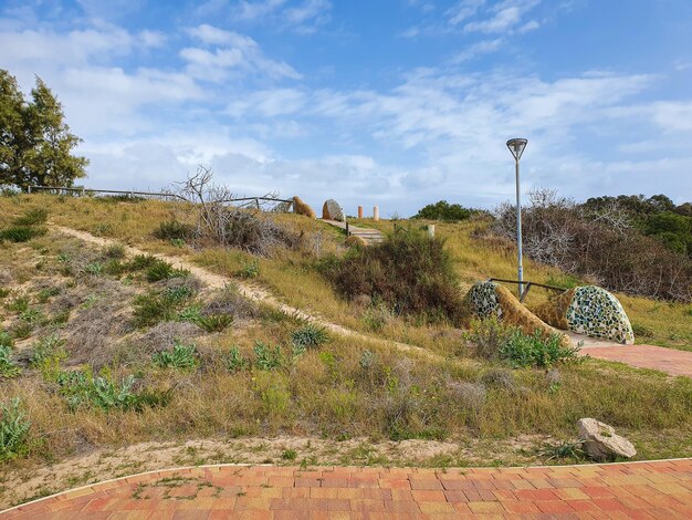 Vega Baja del Segura Guardamar del Segura Parque la Ora