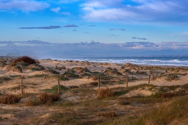 Vega Baja del Segura Guardamar Paisaje de las dunas de Guardamar del Segura