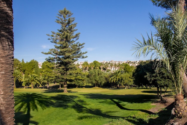 Vega Baja del Segura - Orihuela Costa - Campos de golfe al sur de la Costa Blanca