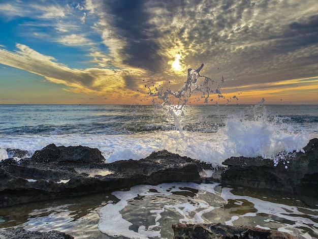 Vega Baja del Segura Orihuela Costa Playas de Orihuela