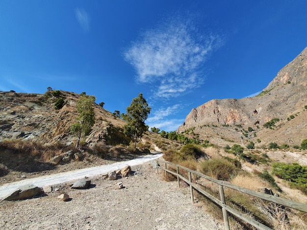 Vega Baja del Segura Orihuela Palmeral e paisajes de seu entorno