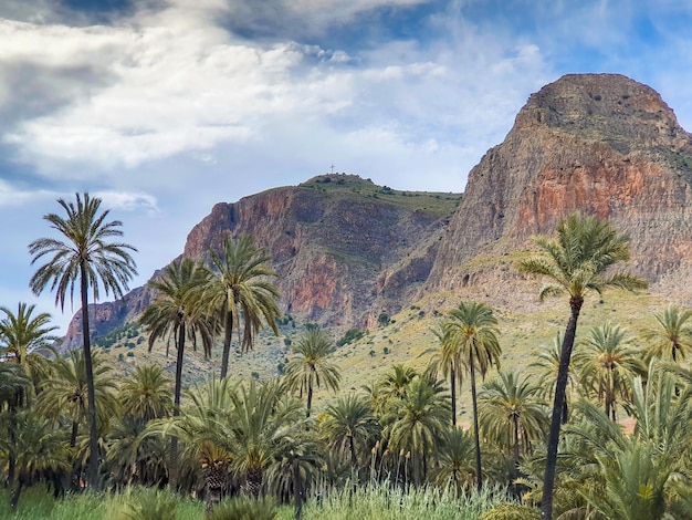 Vega Baja del Segura Orihuela Palmeral e paisajes de seu entorno