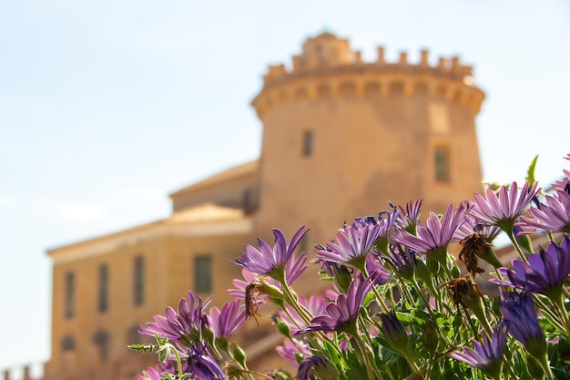 Foto vega baja del segura pilar de la horadada la torre de la horadada e seu entorno