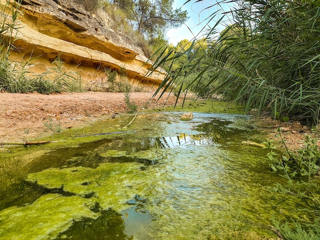 Vega Baja del Segura Pilar de la Horadada Rio Seco