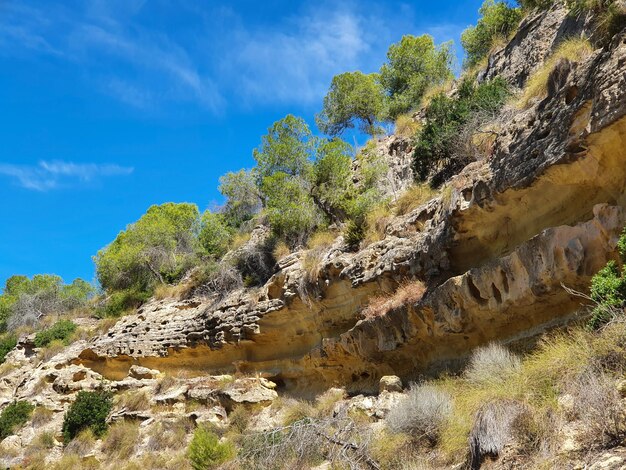 Foto vega baja del segura pilar de la horadada rio seco