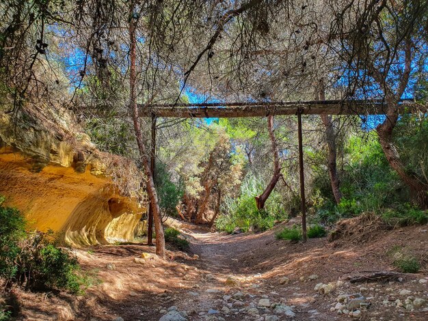 Vega baja del segura pilar de la horadada rio seco