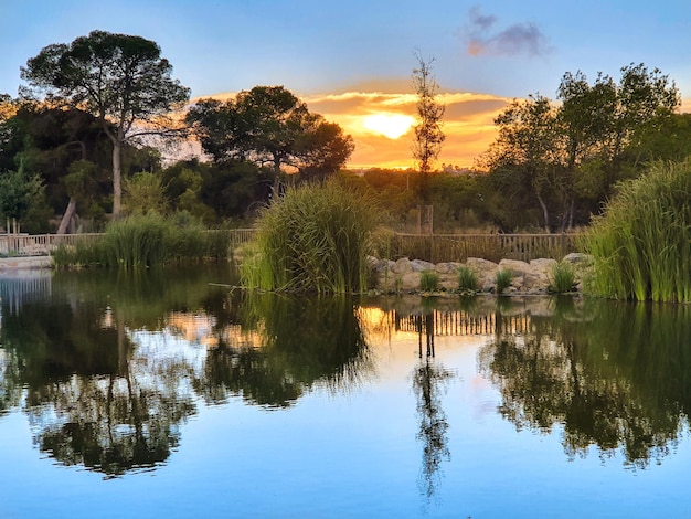 Vega Baja del Segura Rojales Parque el Recorral