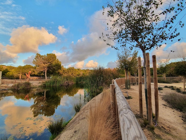 Vega Baja del Segura Rojales Parque el Recorral