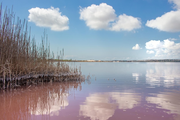 Vega Baja del Segura - Salinas de Torrevieja - La Laguna Salada y su entorno, un paisaje unico