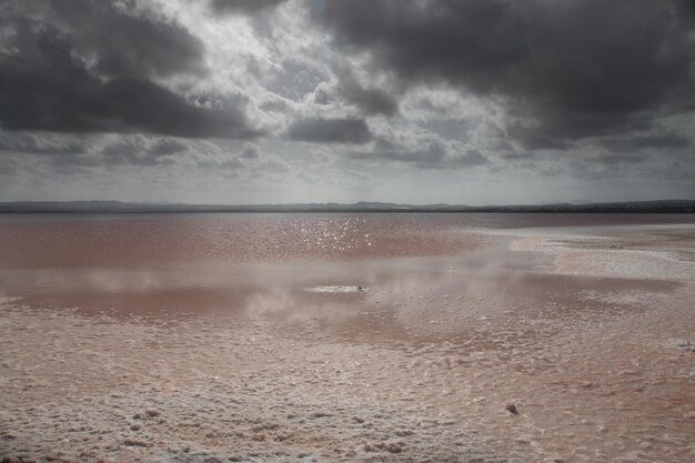 Foto vega baja del segura salinas de torrevieja para retardar um paraíso natural de especial beleza