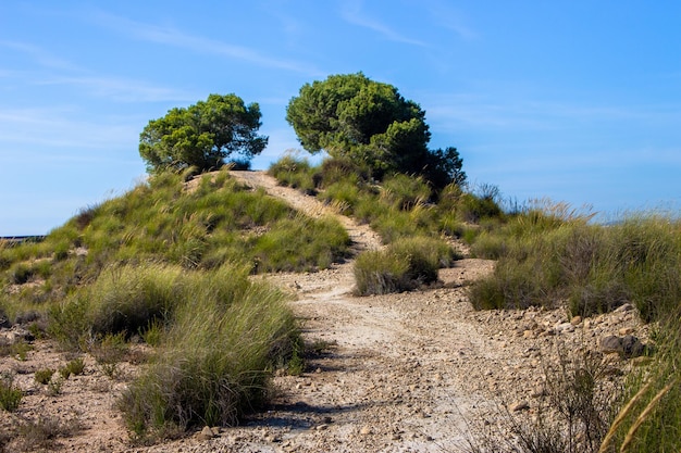 Vega Baja del Segura - San Miguel de Salinas - Vistas e lugares para visitar