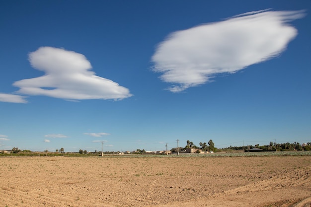 Vega Baja del Segura - Terreno de huerta preparado para el cultivo en San Fulgencio