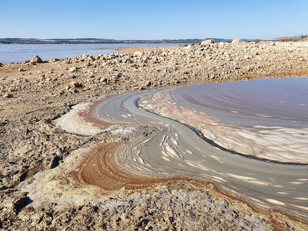 Vega Baja del Segura Torrevieja Arte natural a orillas de las salinas