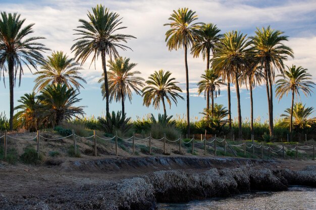 Vega Baja del Segura - Torrevieja - Cala Ferris oder Paraje Natural Lo Ferris