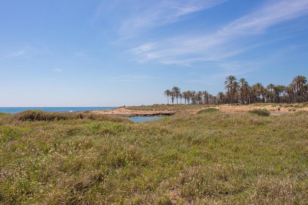 Vega Baja del Segura Torrevieja Eine Oase zwischen Mar und Cala Ferris