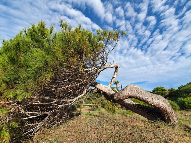 Vega Baja del Segura Torrevieja La Mata Parque del Molino del Agua