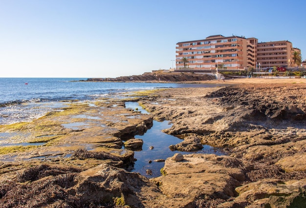 Vega Baja del Segura - Torrevieja - La Playa de la Mata und su entorno
