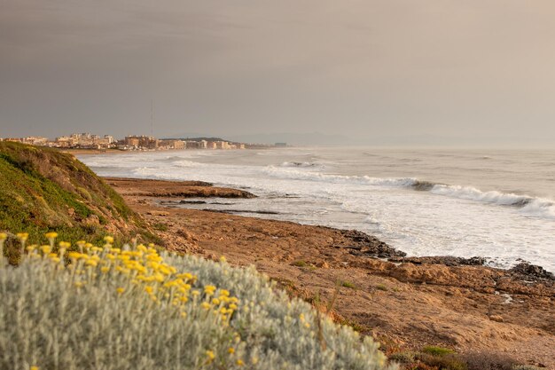 Foto vega baja del segura - torrevieja - la playa de la mata y su entorno