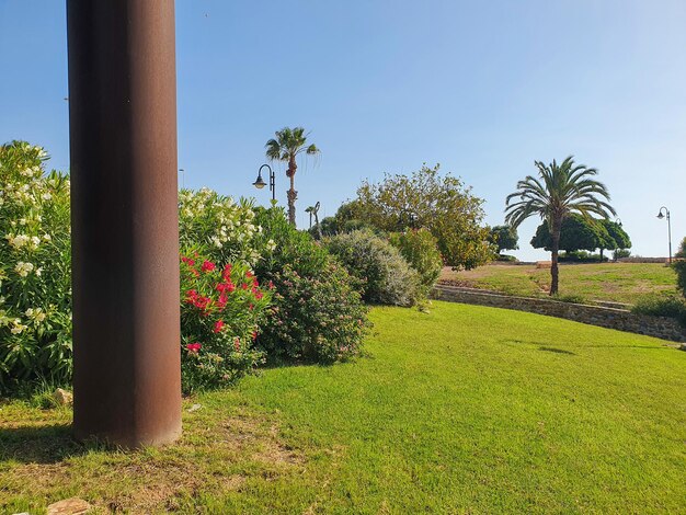 Foto vega baja del segura torrevieja la torre del moro vistas y paisajes