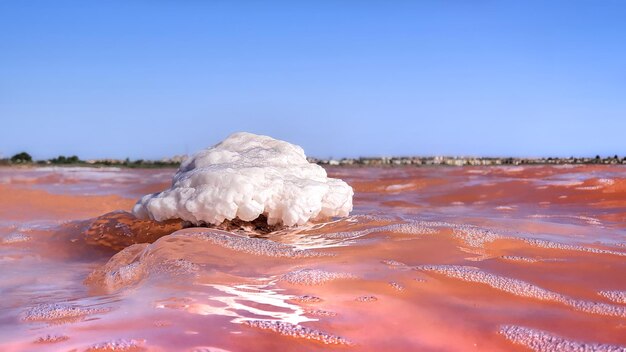 Vega Baja del Segura Torrevieja Laguna rosa nas salinas de Torrevieja