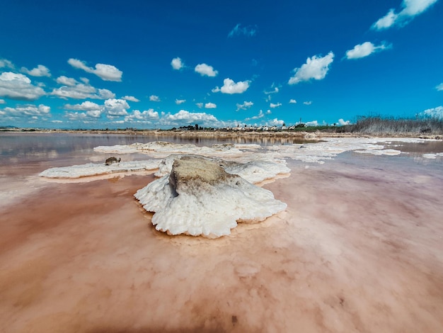 Vega Baja del Segura Torrevieja Paisajes e detalhes em las salinas lago salado laguna rosa