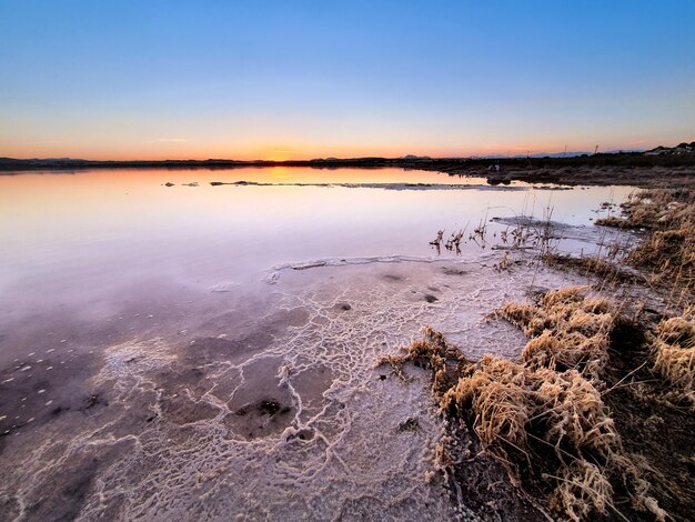 Vega Baja del Segura Torrevieja Paisajes y detalles en las salinas lago Salado laguna rosa