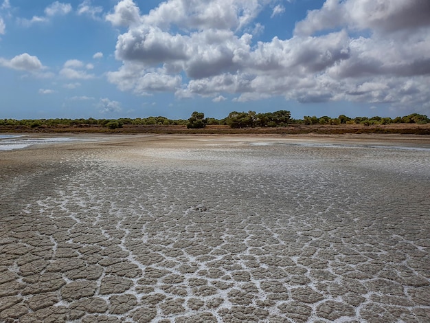 Vega Baja del Segura - Torrevieja - Paraje natürliche Lagunen von La Mata y Torrevieja