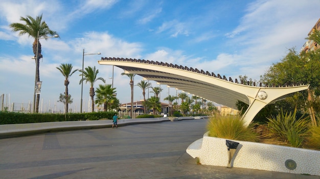 Foto vega baja del segura - torrevieja - passeio vistalegre