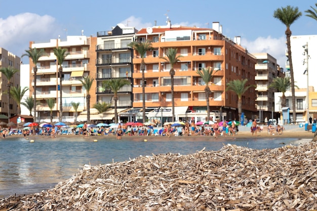 Vega Baja del Segura - Torrevieja - Playa del Cura und die Säulen.