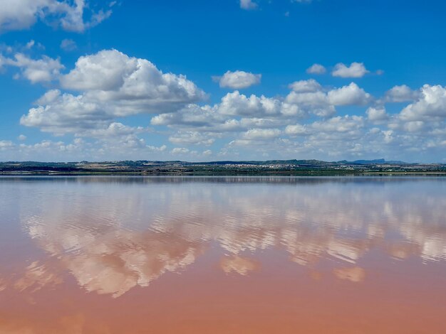 Vega Baja del Segura Torrevieja Salinas und Laguna Rosa und Salada