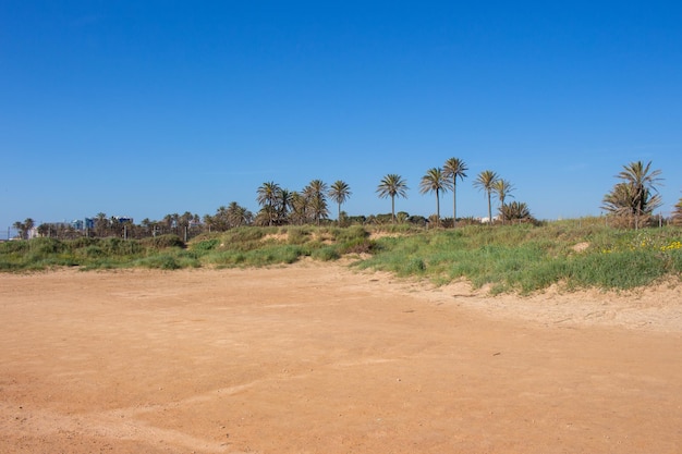 Vega Baja del Segura Torrevieja Un oasis junto al mar en Cala Ferris