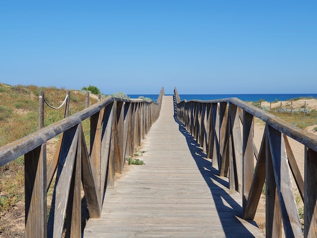 Vega Baja del Segura Guardamar del Segura Dunas y pinada