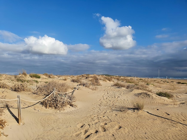 Vega Baja del Segura Guardamar del Segura Dunas y pinada