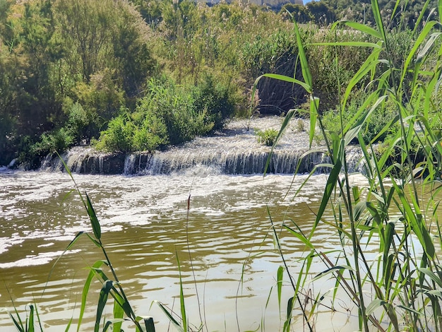 Foto vega baja del segura guardamar del segura molino harinero de san antonio azud puente de hierro