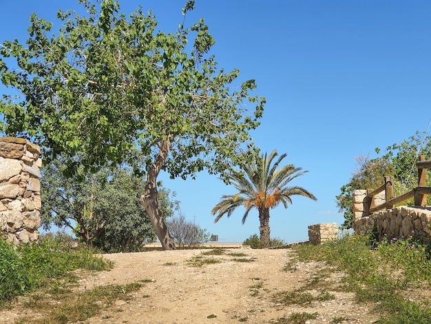 Foto vega baja del segura guardamar del segura molino harinero de san antonio azud puente de hierro