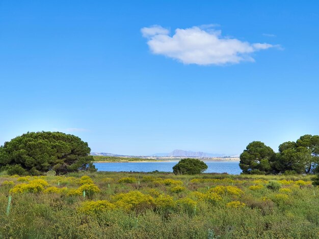 Foto vega baja del segura el lago azul del parque natural de las lagunas de la mata y torrevieja