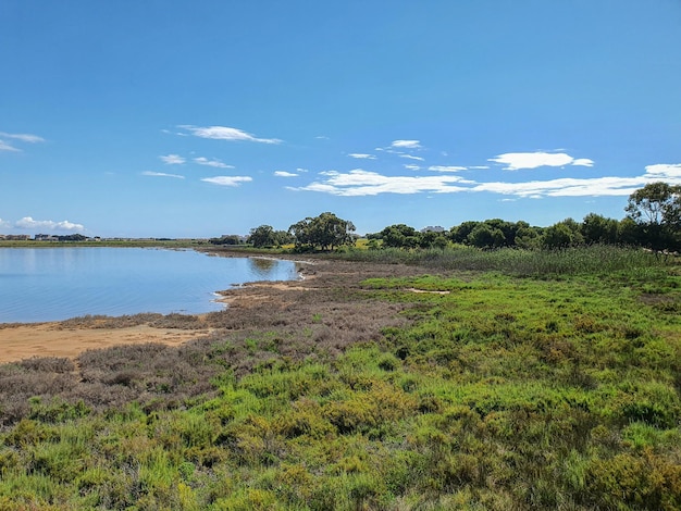 Foto vega baja del segura el lago azul del parque natural de las lagunas de la mata y torrevieja