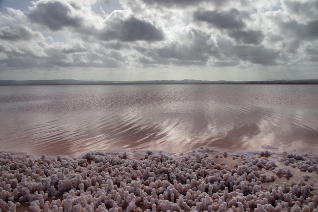 Foto vega baja del segura el lago salado de torrevieja el paraje natural de las salinas