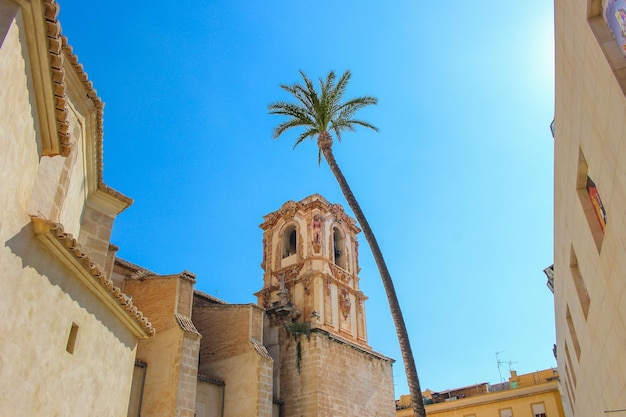 Vega Baja del Segura Orihuela Colegio e Iglesia de Santo Domingo