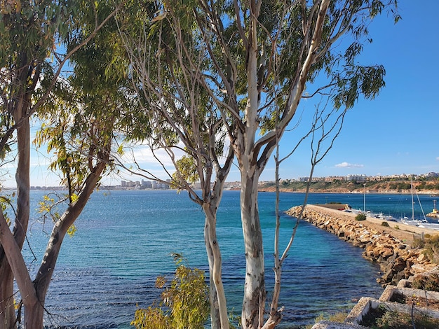 Vega Baja del Segura Orihuela Costa Cabo Roig en el sur de la Costa Blanca