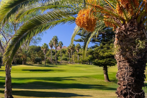 Vega Baja del Segura - Orihuela Costa - Campos de golf al sur de la Costa Blanca